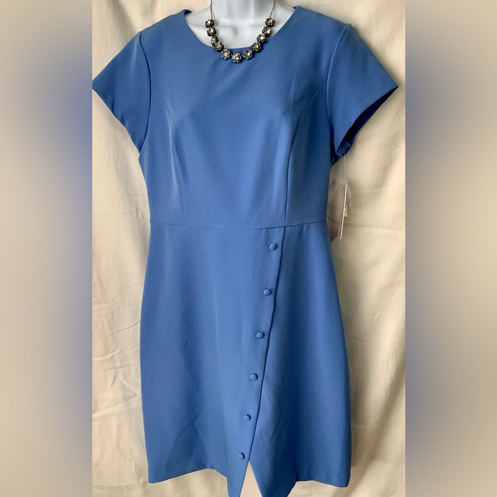 Nanette Lenore Dress